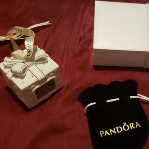 Pandora accessories